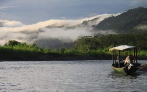 Avoiding illegal logging and deforestation in the Peru Amazon rainforest – “the lungs of world”
